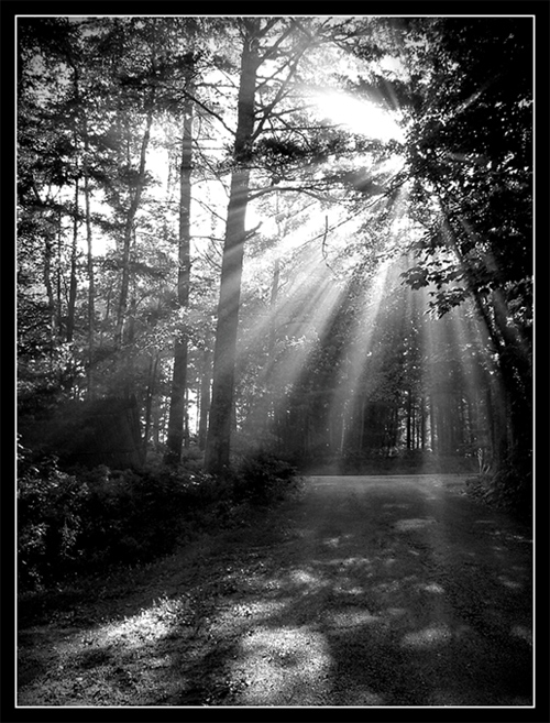 Sunlight Black and White