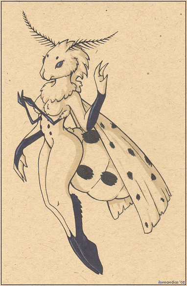 Lady Moth