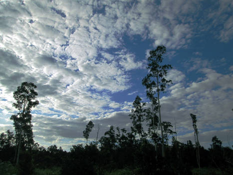 reflect clouds