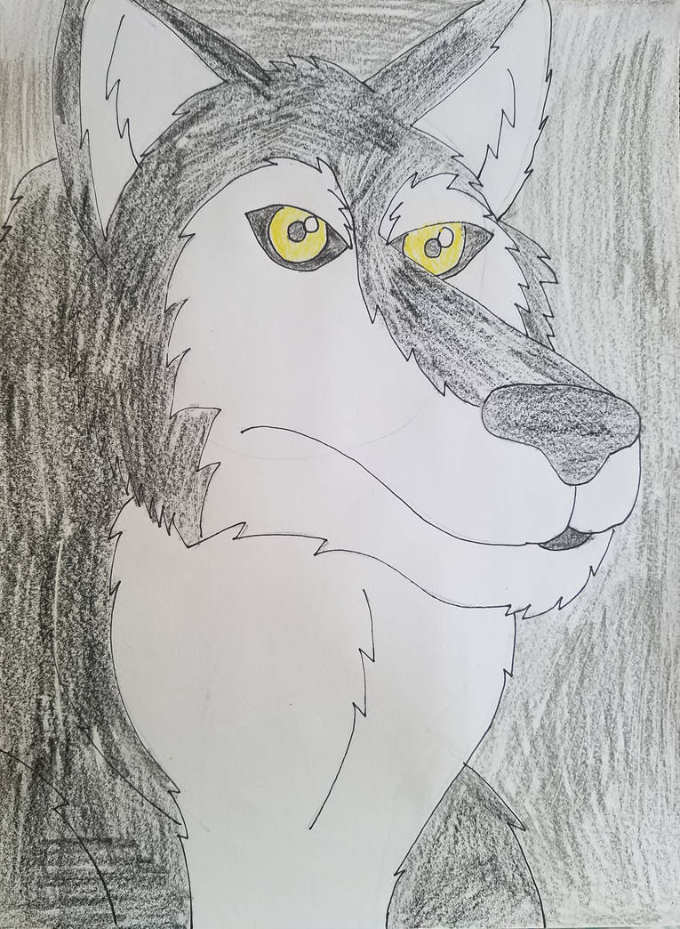 Realistic wolf drawing by leewolfx on DeviantArt