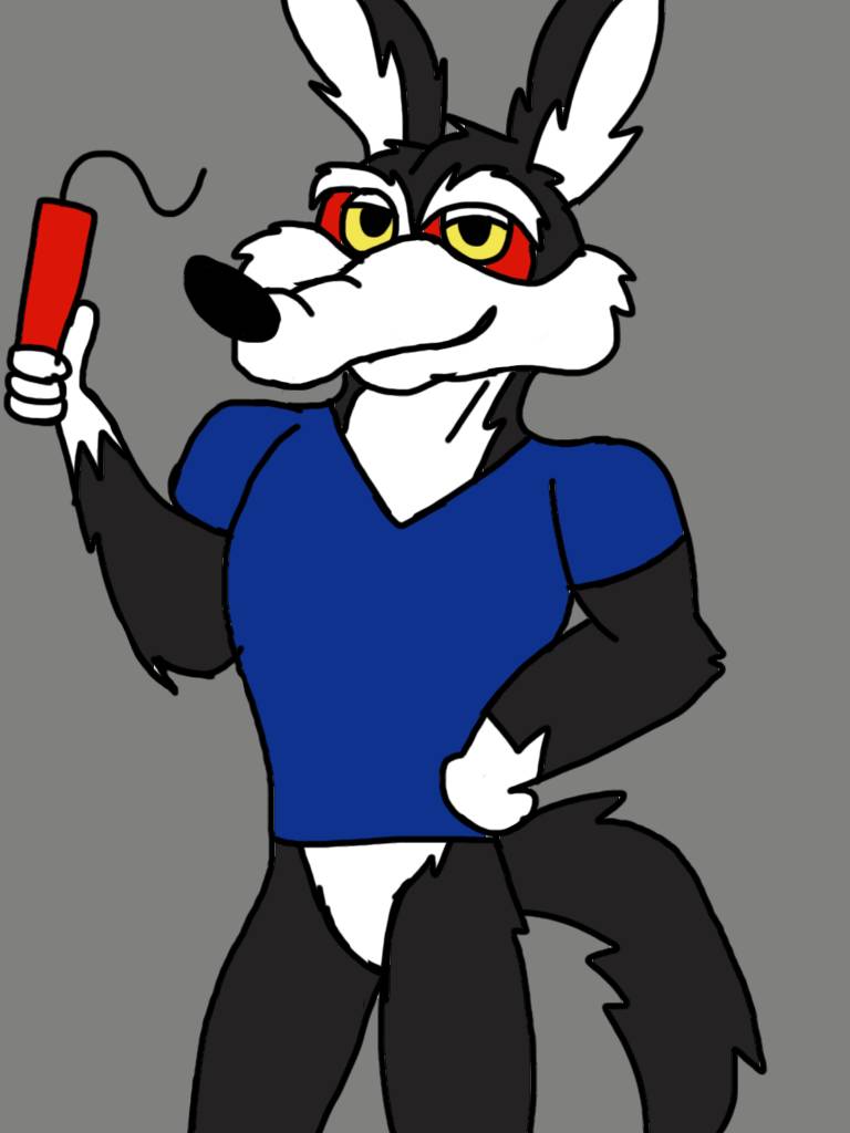 Lee E Coyote by leewolfx on DeviantArt