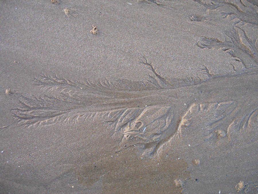 Tree Sand Patterns Sand pattern by GrimmjowCero on DeviantArt