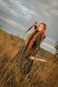 Tauriel