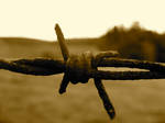 Barbed Wire by ACcross