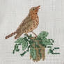 A Thrush cross stitch