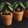 1:12 Miniature Mandrake Roots