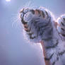Tiger with the Moon