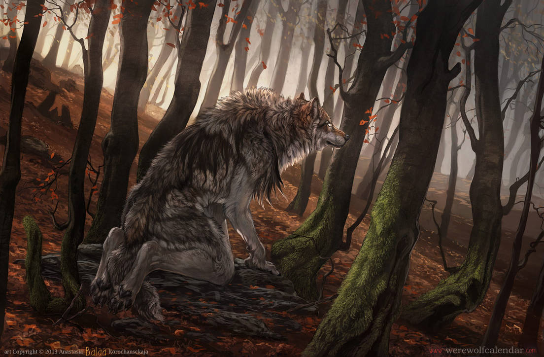 The Autumn by balaa