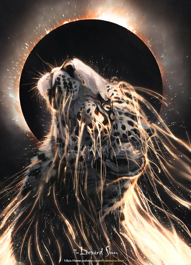 The Leopard Sun - Leopard Moon by balaa