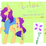 .ref sheet. Lilac Sketch 2018