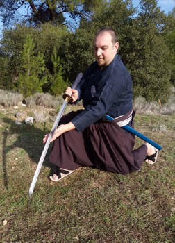 IAIDO 