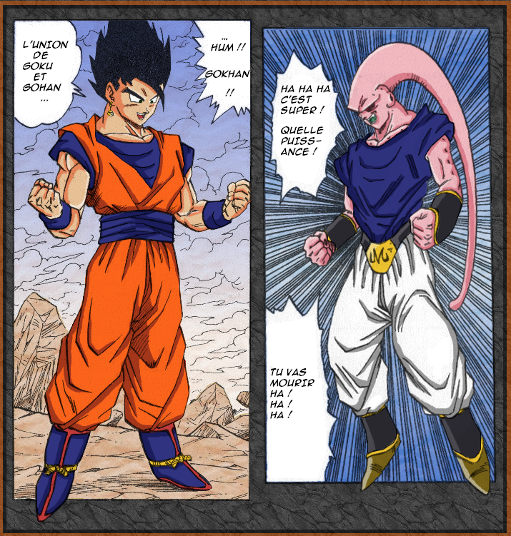 gokhan vs buuvegeta final