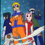 team 7 color