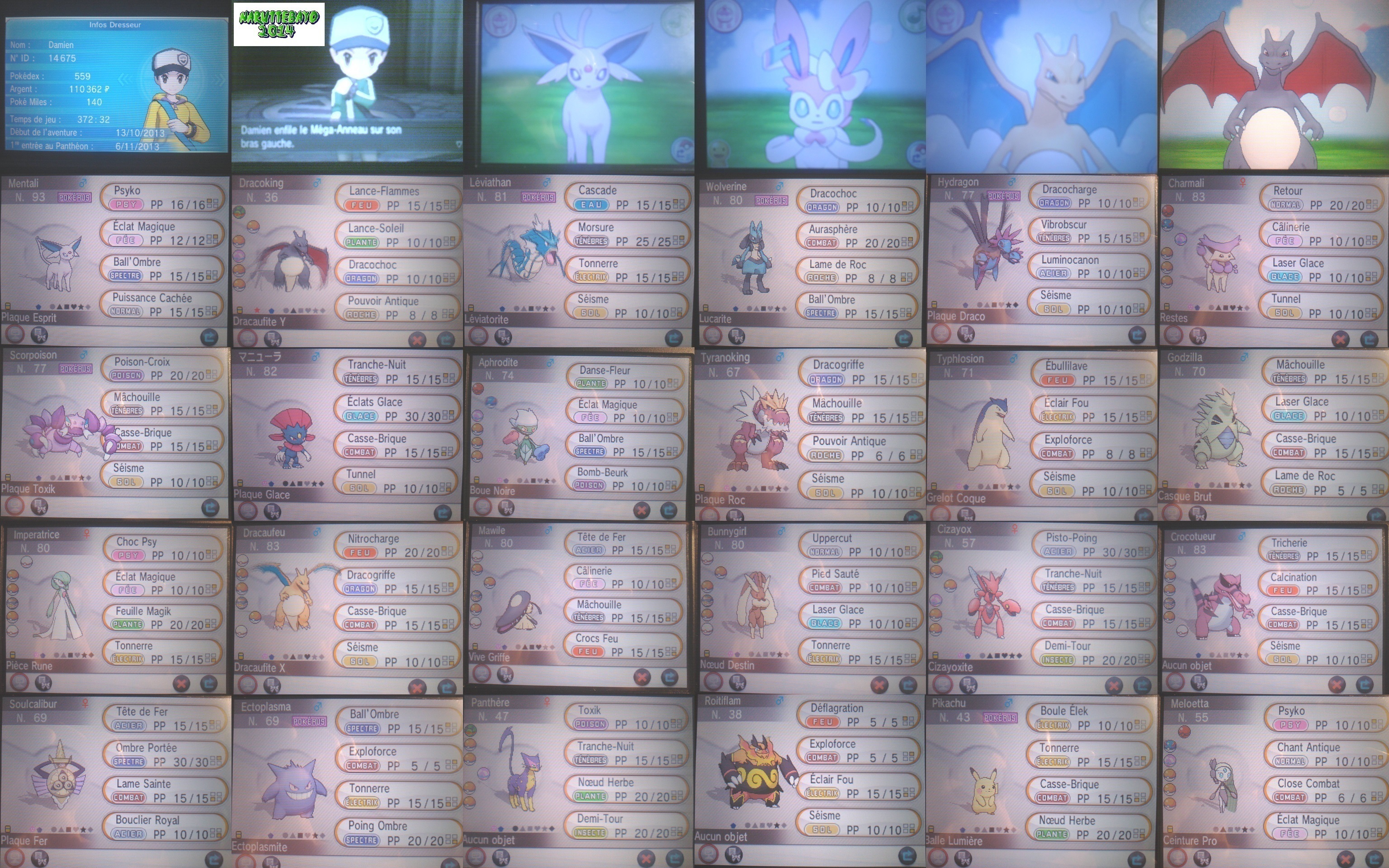 My Pokemon Y Team By Naruttebayo67 On Deviantart My Pokemon Y Team By Naruttebayo67 On Deviantart