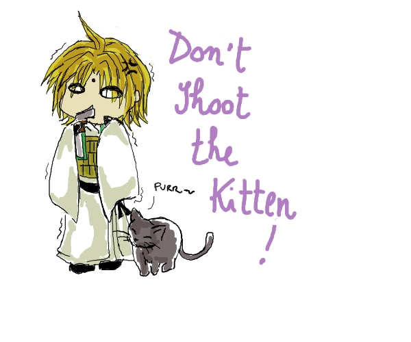 Don't shoot the kitten