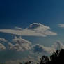 The dog cloud army is here to check the city scape