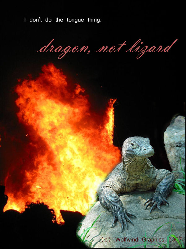 Dragon, not Lizard by spiritus-lunar on DeviantArt