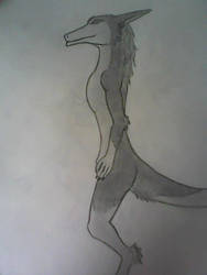 My first sergal art