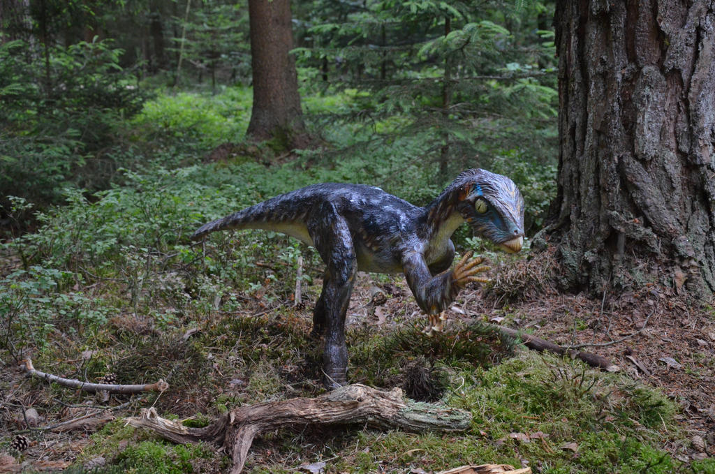 Tiny feathered raptor by Mercychilled on DeviantArt