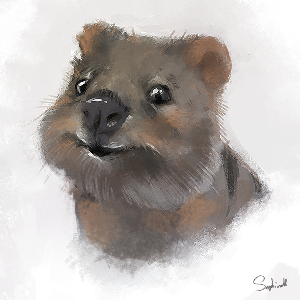 Happy Quokka by SephirothArt on DeviantArt