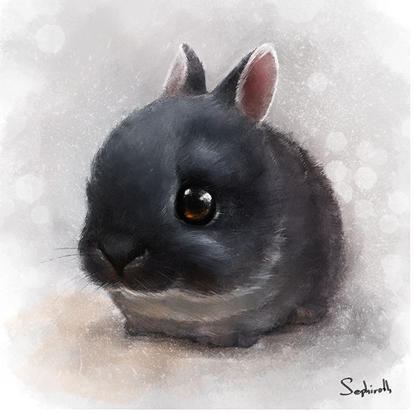 Sweet Rabbit by Sephiroth-Art on DeviantArt