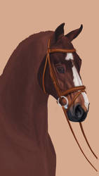 WIP horse portrait