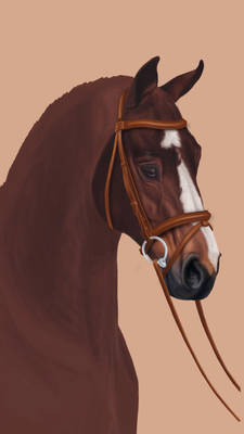 WIP horse portrait