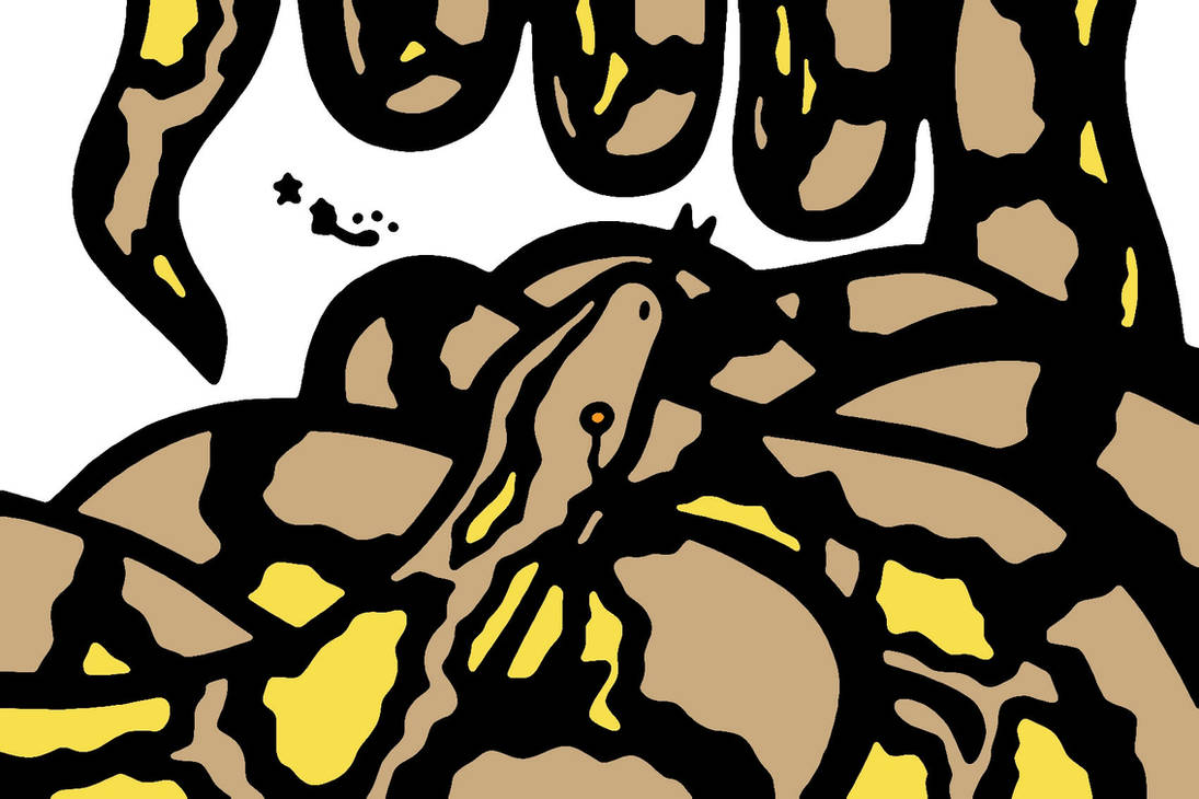 Reticulated Python by african-hyena on DeviantArt