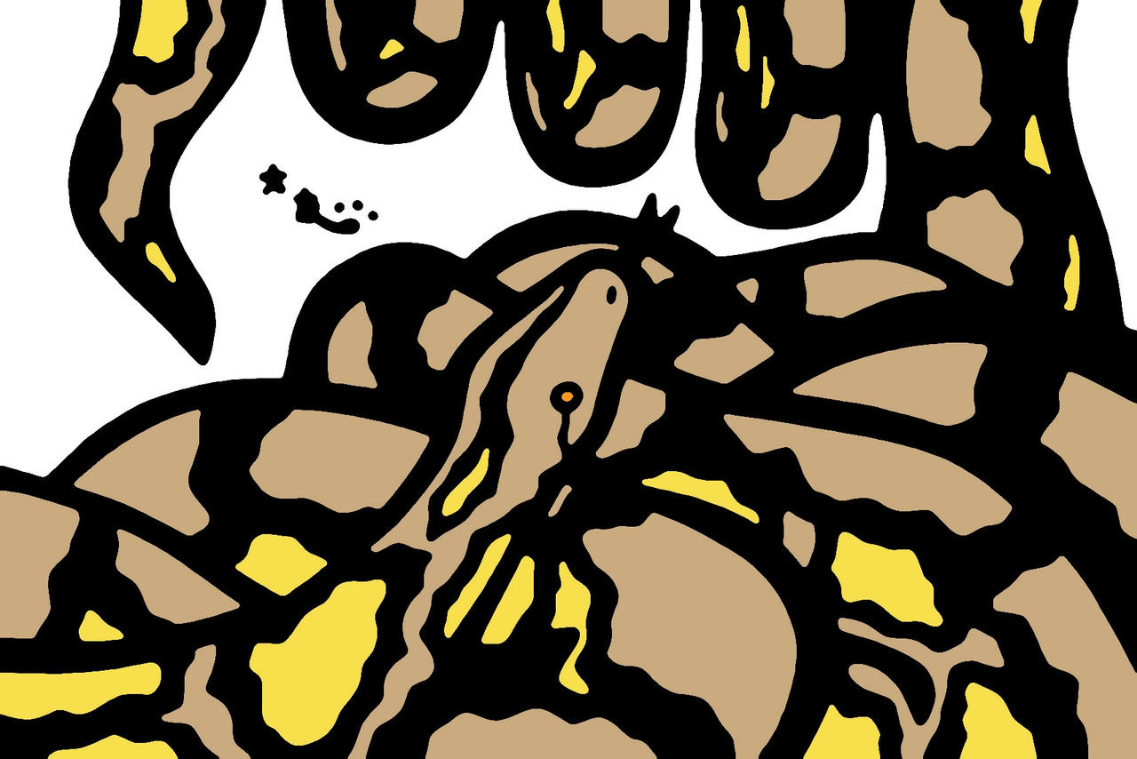 Reticulated Python by african-hyena on DeviantArt