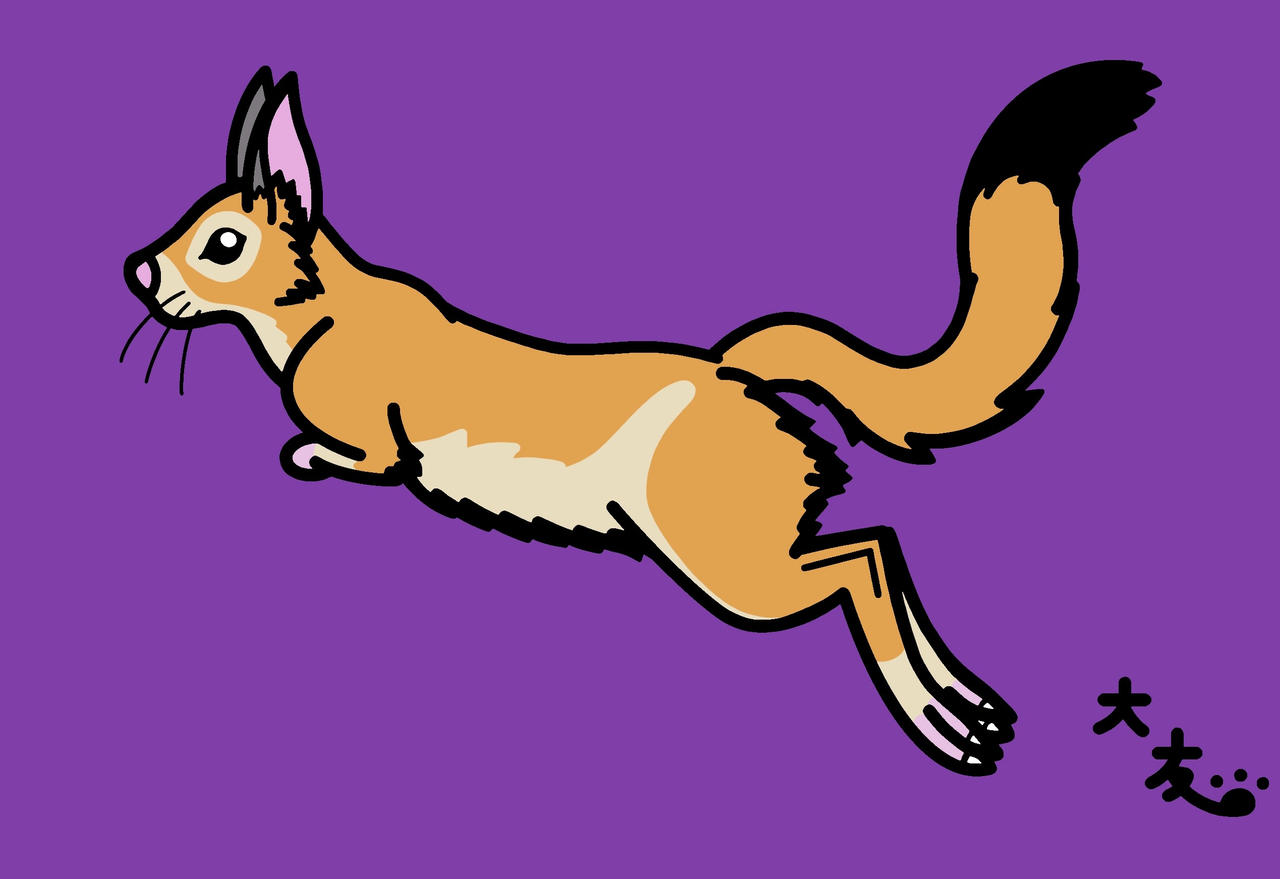South African Springhare by african-hyena on DeviantArt