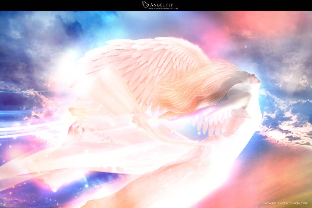 Angel Fly by acracium