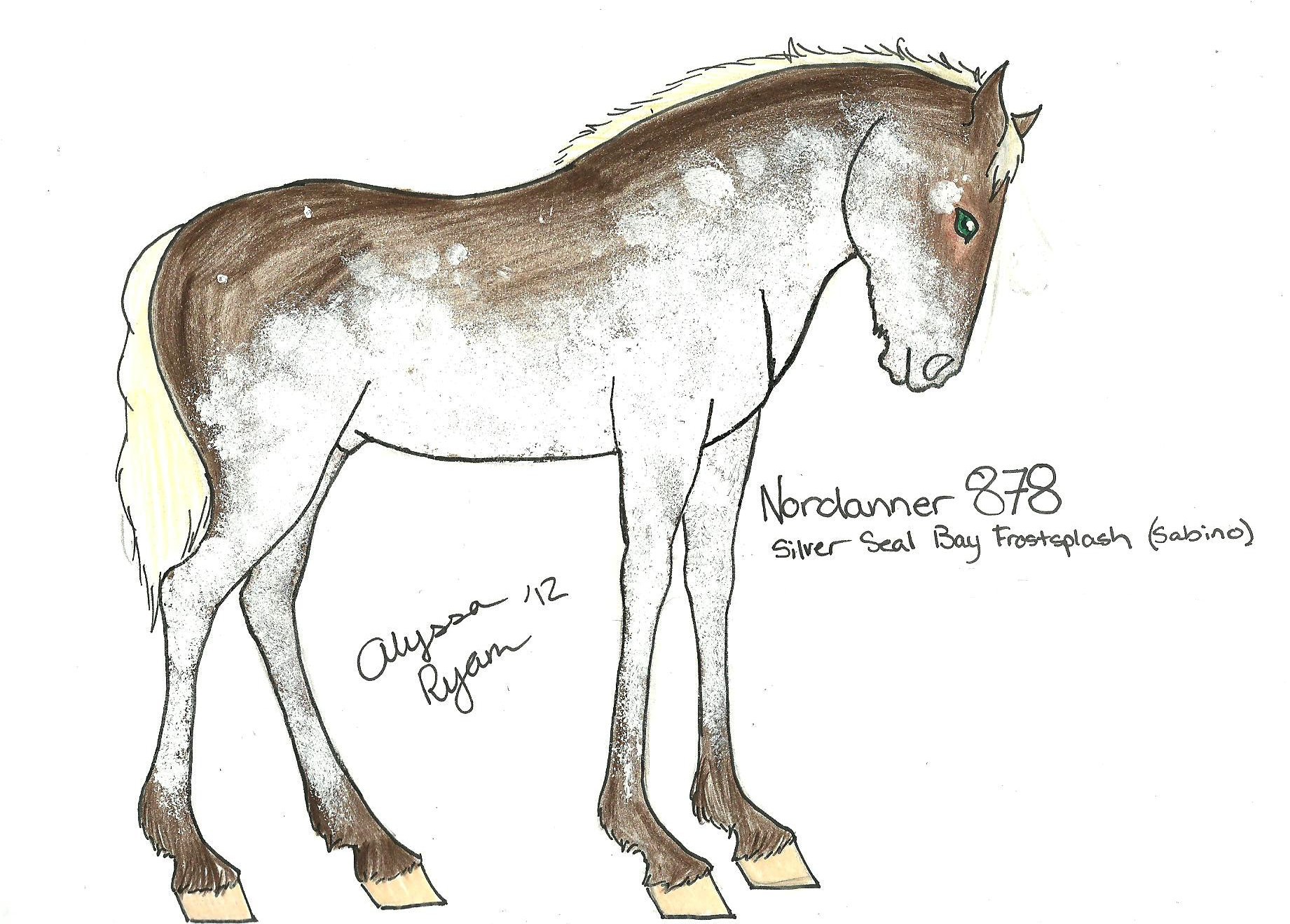 HR Franziska 878 FOAL DESIGN