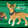 Scout feral ref [Fursona]