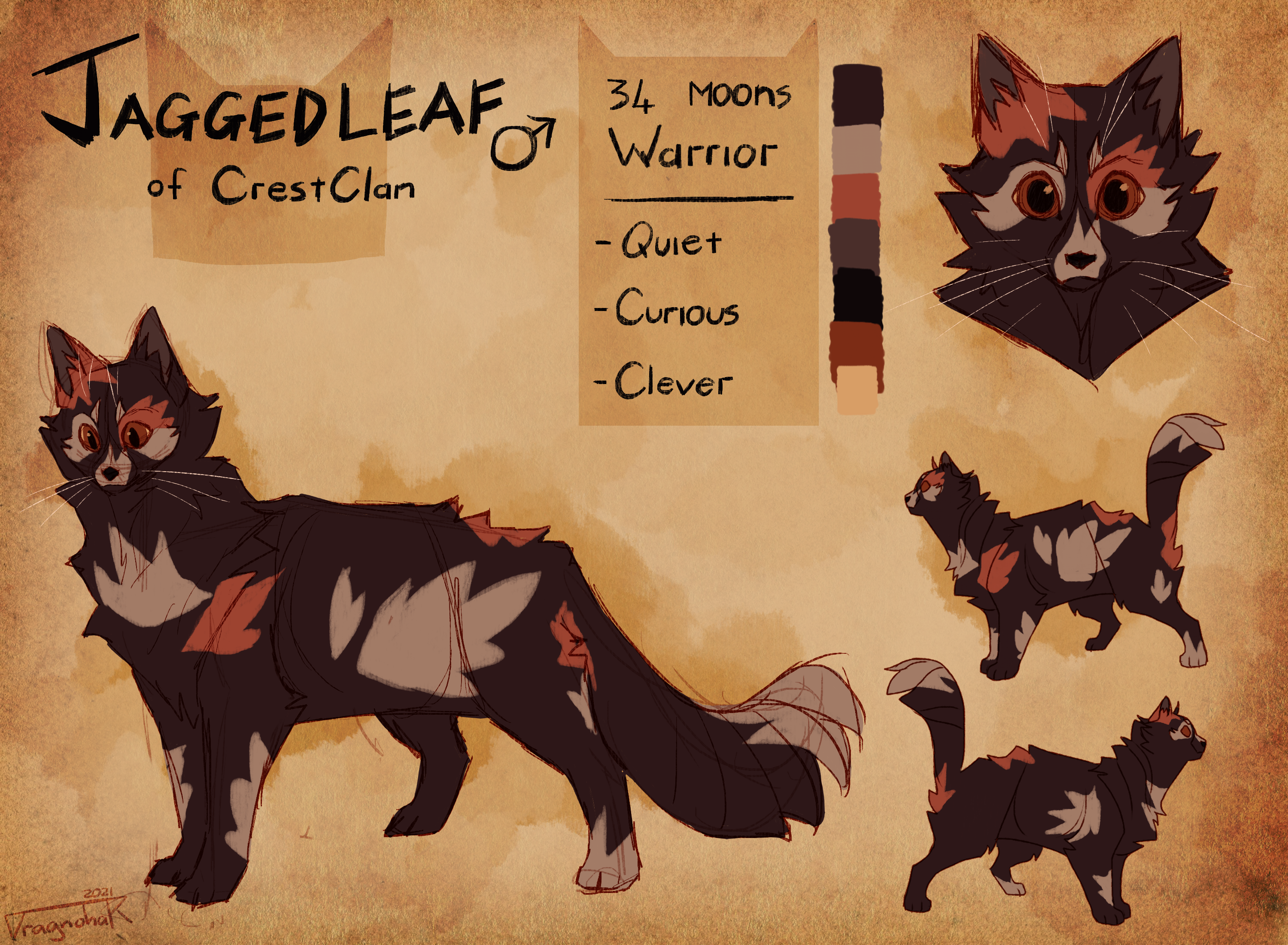 Warrior Cats Oc Reference Sheet Commissions Open By Dragnohar On Deviantart Warrior Cats Oc Reference Sheet Commissions Open By Dragnohar On Deviantart