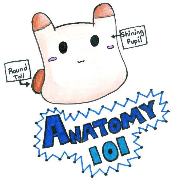 Priring Anatomy 101 - Priring by Beccadex on DeviantArt