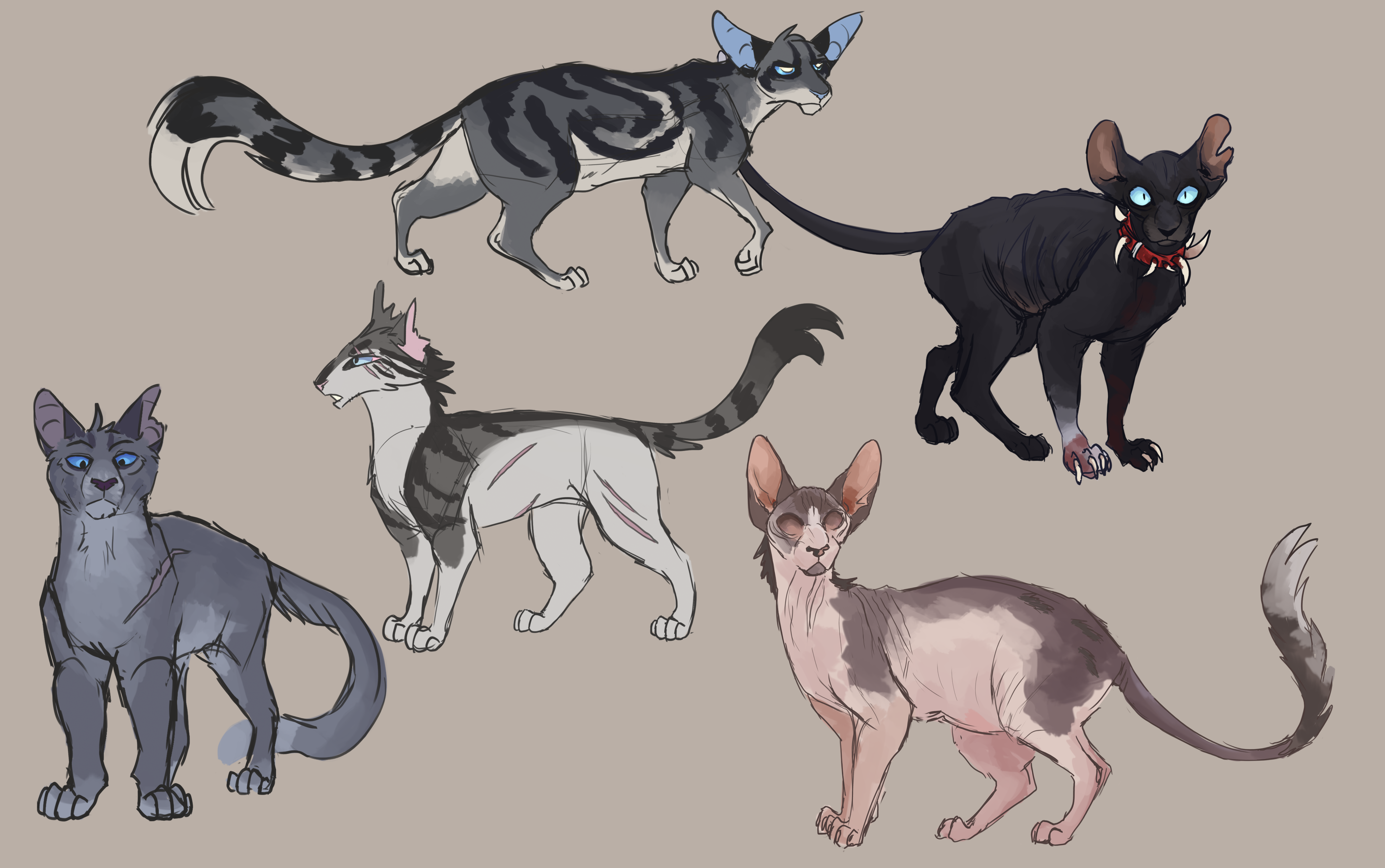 Warrior Cat Designs