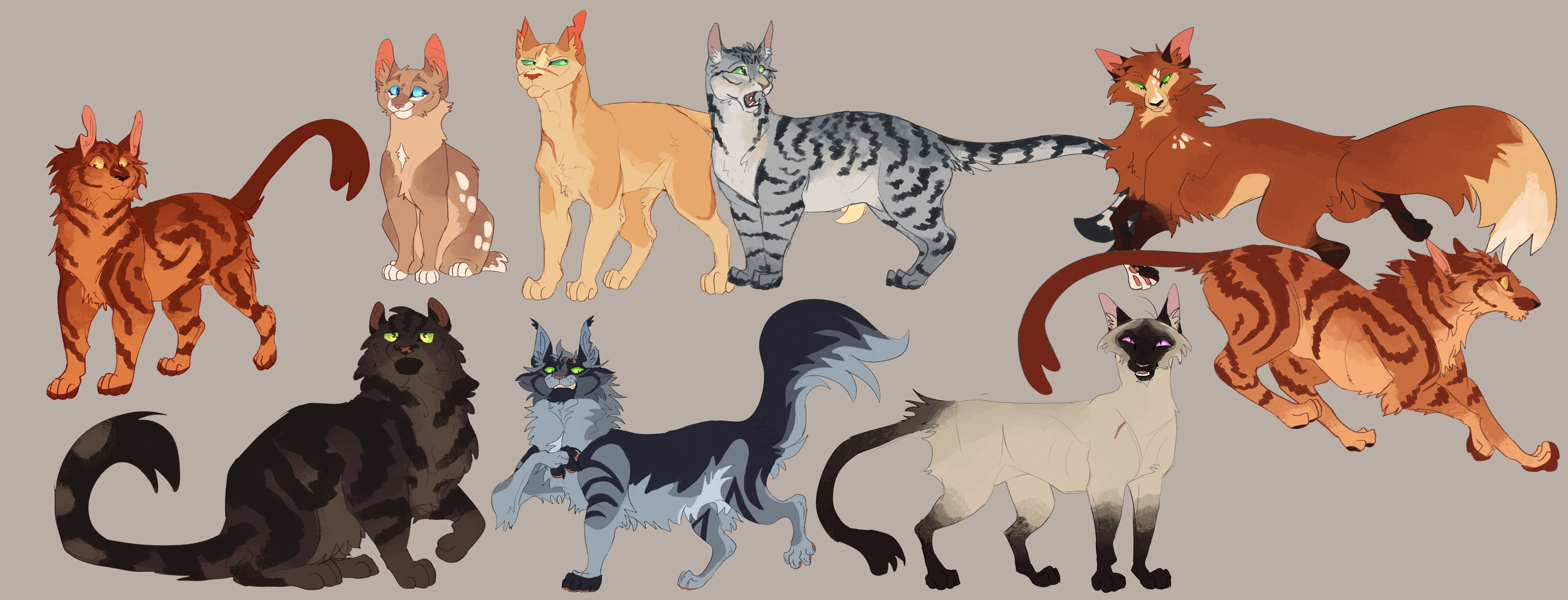 Warrior Cat Designs