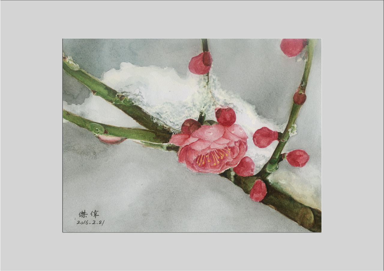 Plum blossom