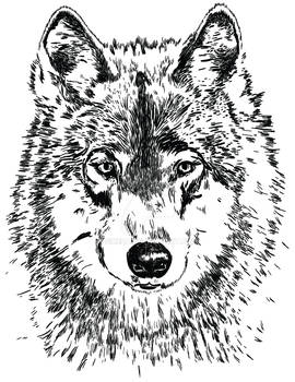 Wolf Tee