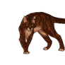 Tigerstar Finished