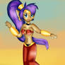 Shantae the Half Genie Hero