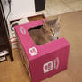 Kitty in a Box