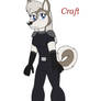 Team Momo - Craft the Husky Dog
