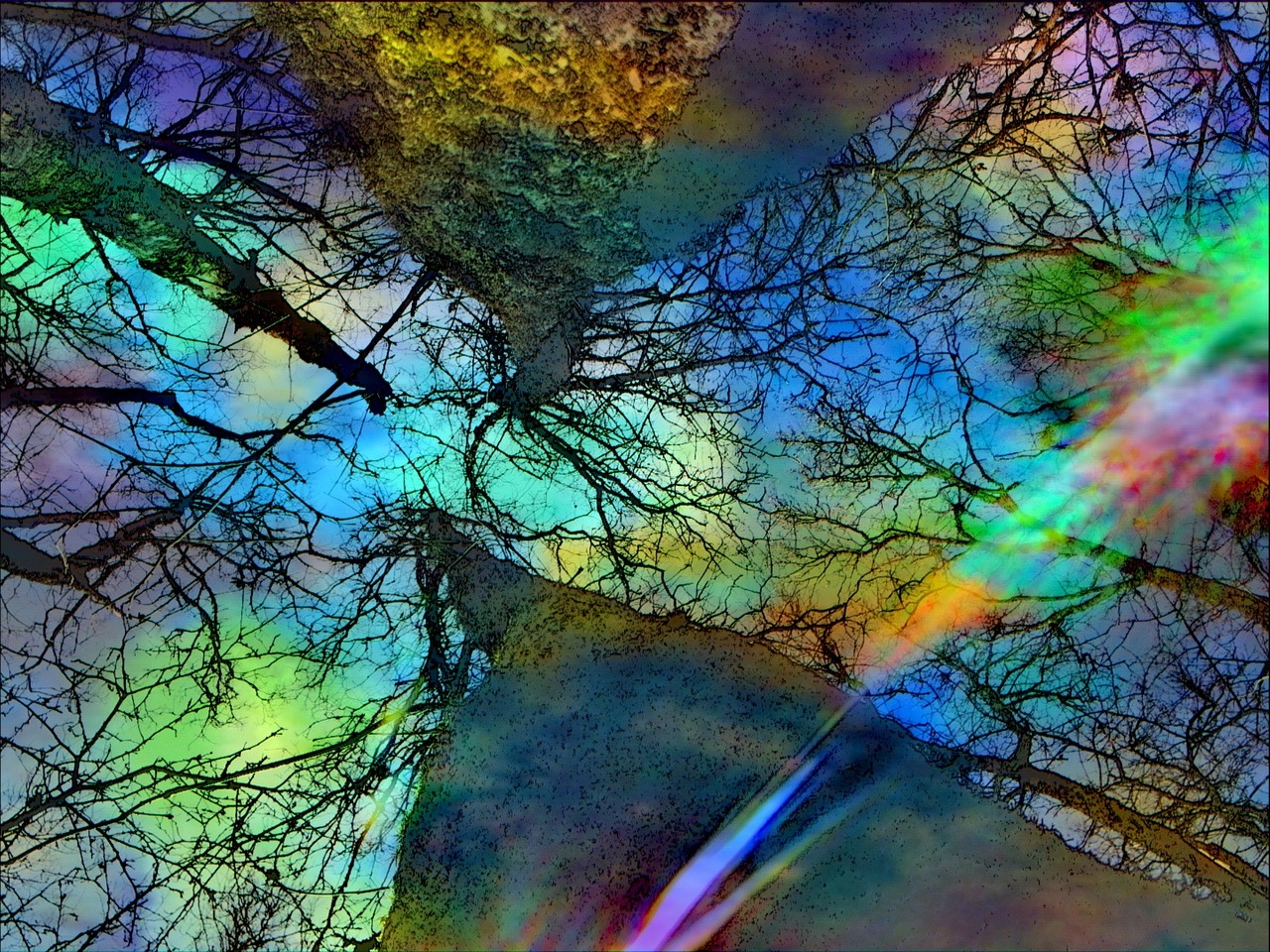 trippy trees by StringsAndDolls on DeviantArt