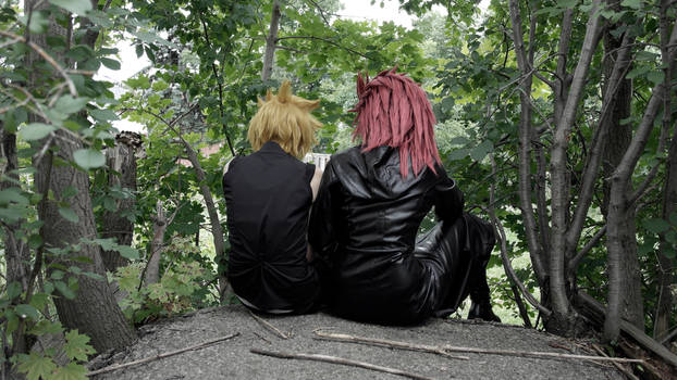 Axel and Roxas- After the mission (1/2)