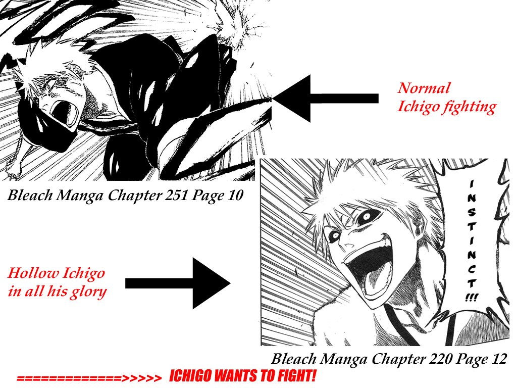 Proof that Ichigo seeks battle