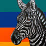 Zebra Tangle