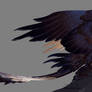 Furies bonuses