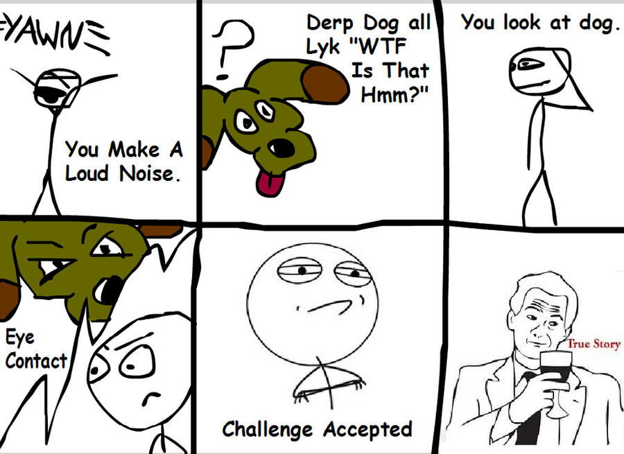 Staredog Stare Dog by Morbidillink-spawn on DeviantArt