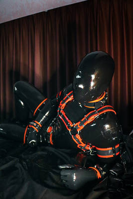 Nightly Rubber Toy